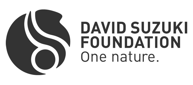 David Suzuki Foundation